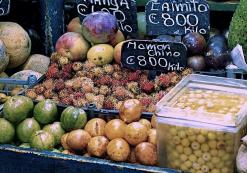 Markt San José Markt San José