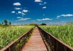 Brug