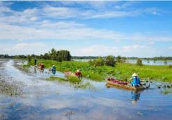 VN_AL_Mekong Delta