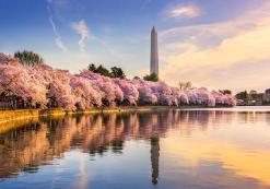 Washington DC, Washington Monument