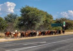 Rundu