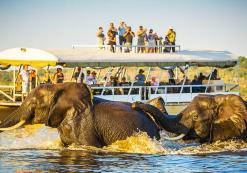 Chobe Nationaal Park