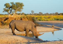 Sibuya Game Reserve