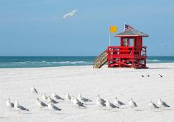 Sarasota