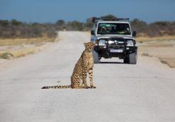 Etosha Nationaal Park