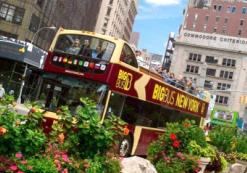 Big Bus Tours New York