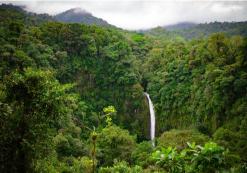 Arenal Nationaal Park La Fortuna waterval