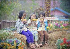 Cambodja
