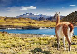 Torres del Paine
