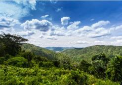 Omgeving van Khao Yai Nationaal Park