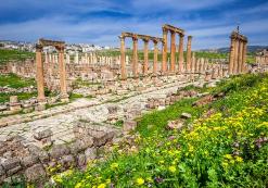 JO_AL_Jerash met groen