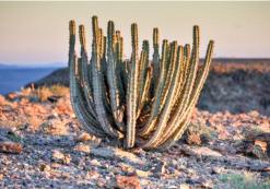 Fish River Canyon
