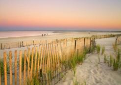 Cape Cod