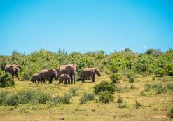 Kruger Nationaal Park