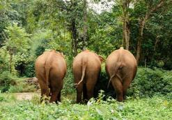 Mondulkiri