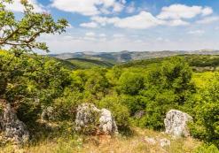 Ajloun Forest Reserve