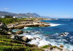 Hermanus