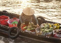 Mekong Delta