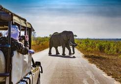 Kruger Nationaal Park