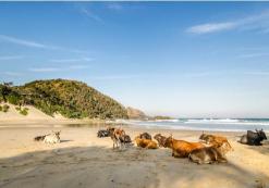 Port St. Johns