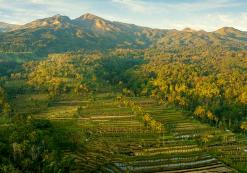 Omgeving Tetebatu