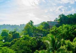 Hotel Costa Verde omgeving