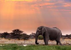 Etosha Nationaal Park