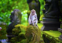 Ubud
