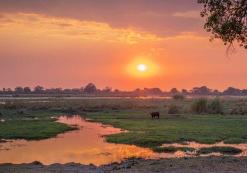 Zambezi
