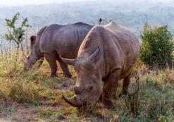 Hluhluwe-iMfolozi Park