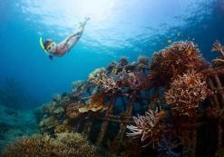Snorkelen