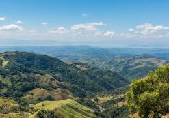 Monteverde nevelwoud