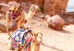 Wadi Rum