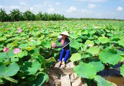 Mekong Delta
