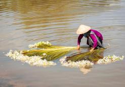 Chau Doc