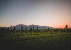 Mt. Rinjani