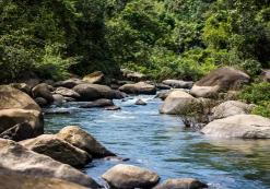 Khao Sok Nationaal Park