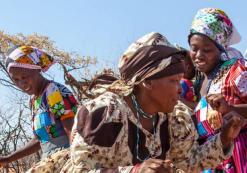 Damara cultuur