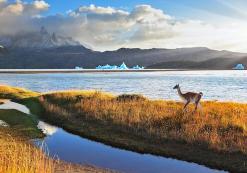 Grey gletsjer, Torres del Paine