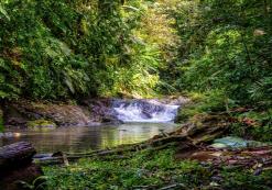 Corcovado Nationaal Park