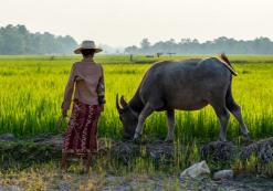 Siem Reap