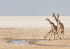 Etosha Pan Etosha Pan