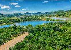 VN_AL_Koffieplantage bij Dalat