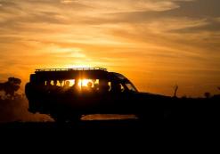 Sunset game drive