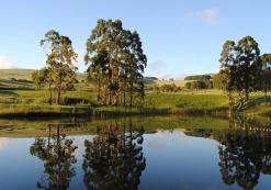 Dullstroom
