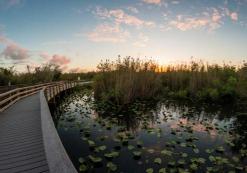 Florida City / Homestead Everglades