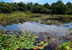 Ramsar Wetlands