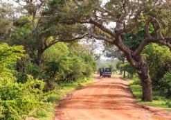 Yala National Park Yala National Park