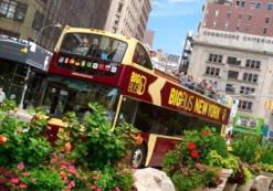Big Bus Tours New York