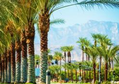 Palm Springs Palm Springs